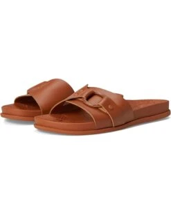Reef Cushion Soho Cruz | Sandals -Shoe Trend Sole 618QXXYkLtL. AC SR736920