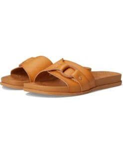 Reef Cushion Soho Cruz | Sandals -Shoe Trend Sole 61DuCCQ7WQL. AC SR736920